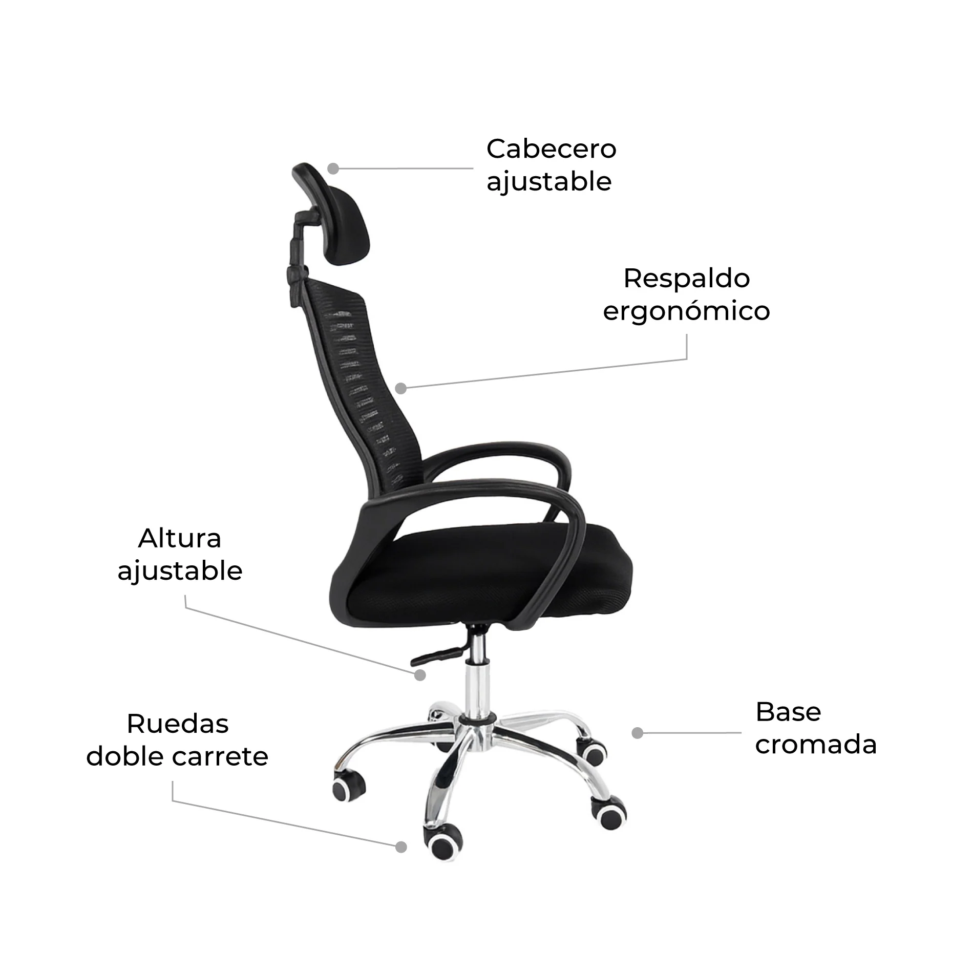 Imagen del producto 5