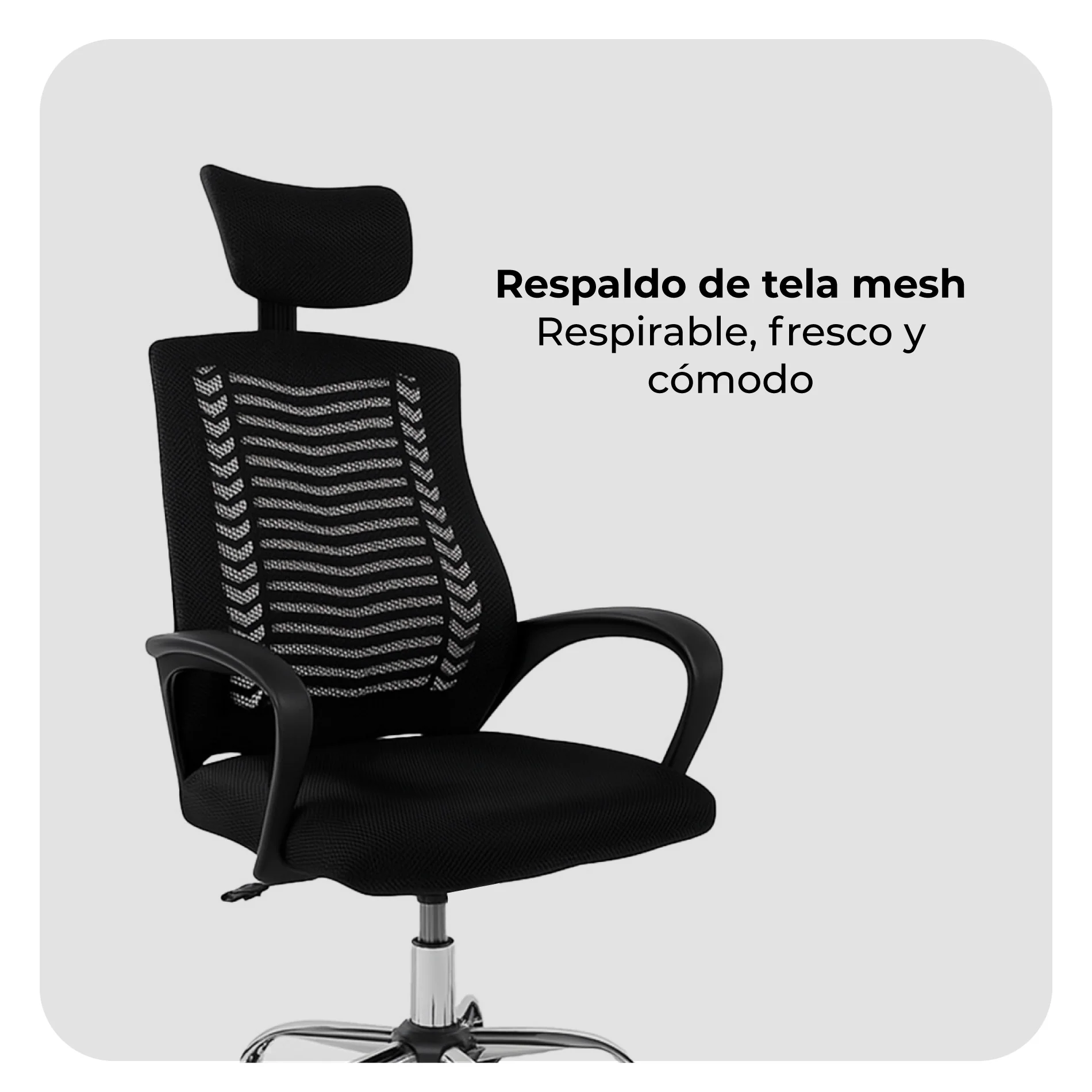 Imagen del producto 6