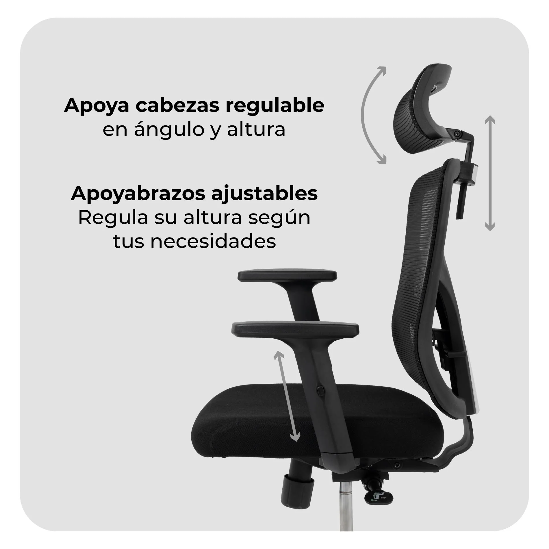 Imagen del producto 6