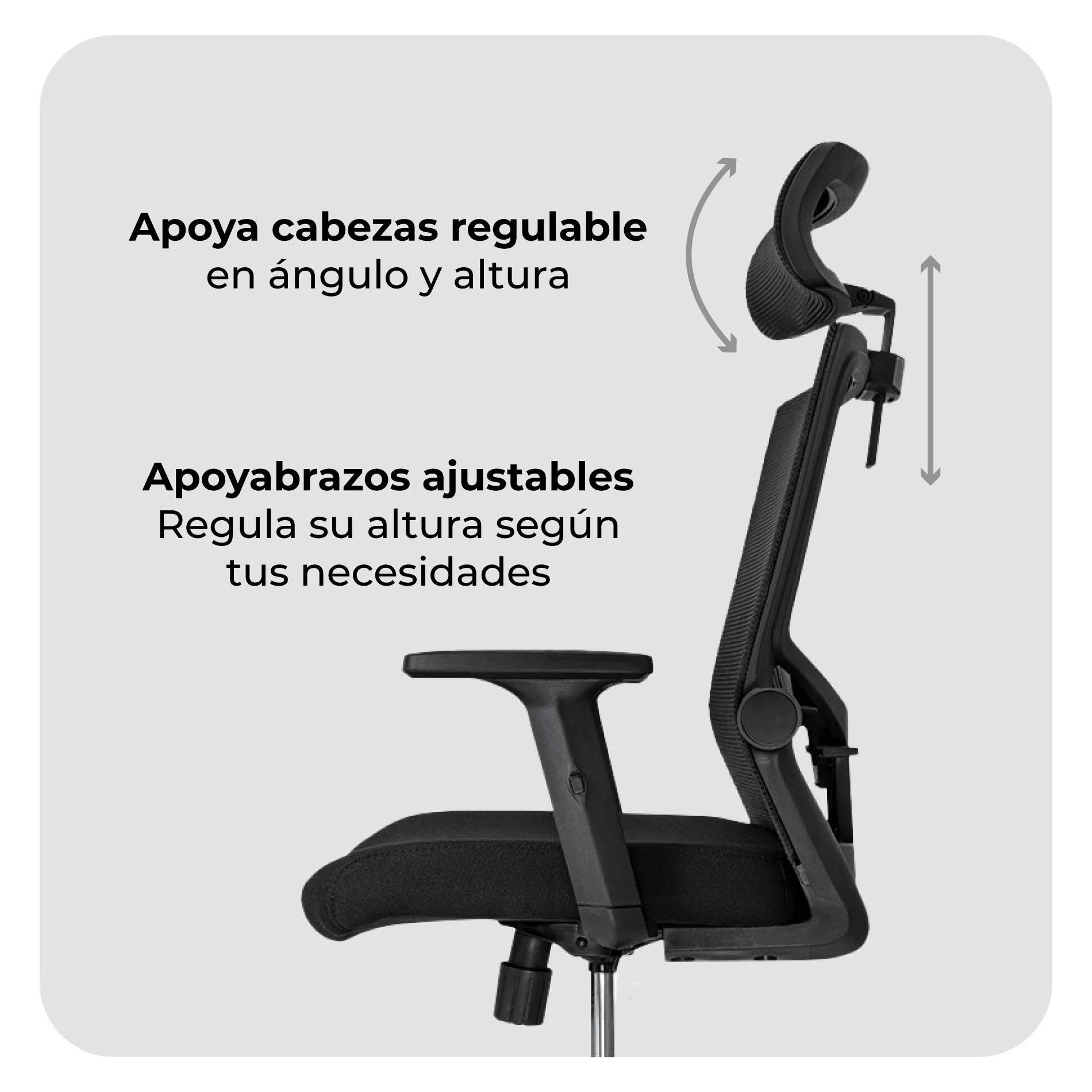 Imagen del producto 6